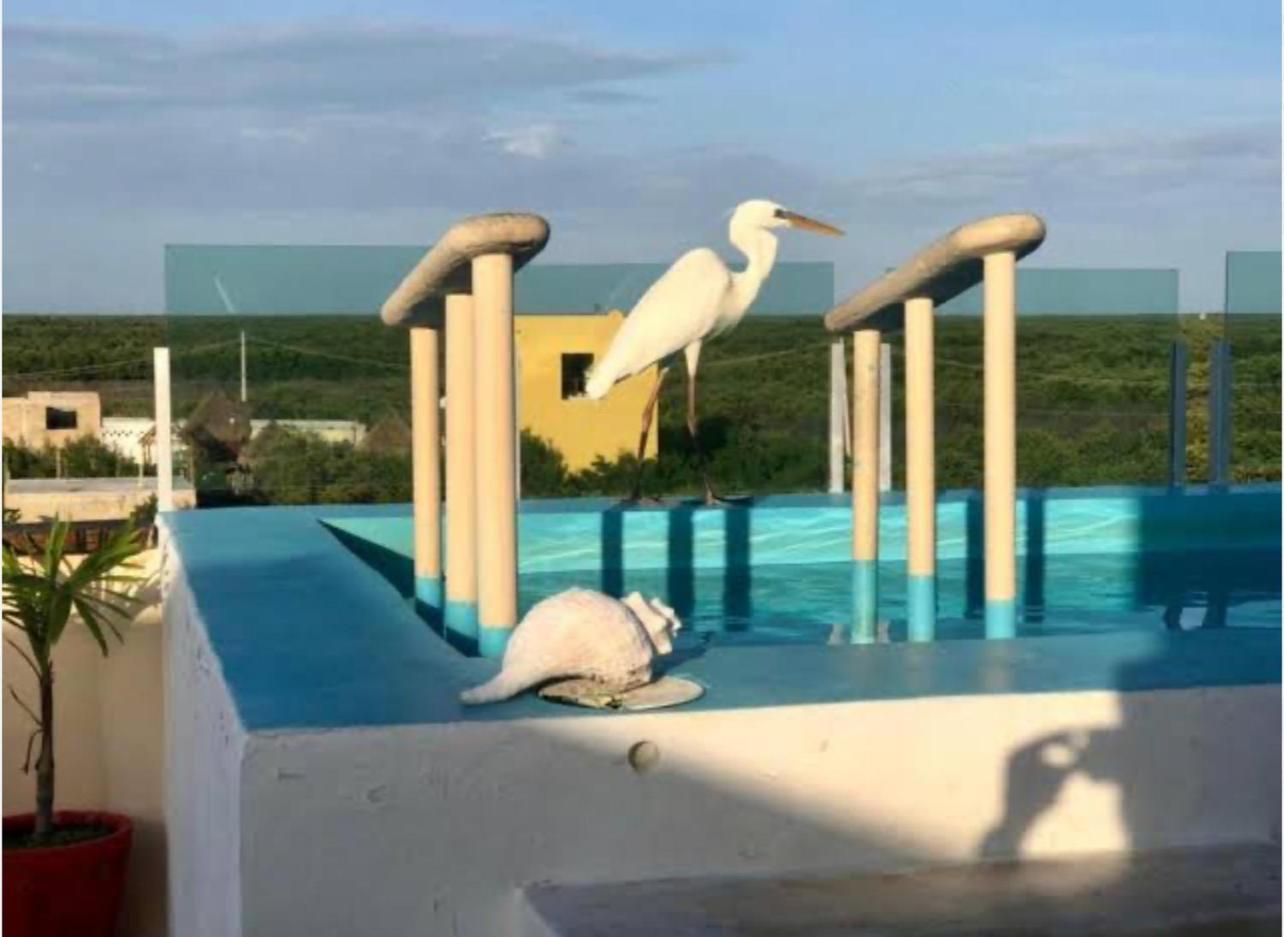 El Corazon Mexican0 Isla Holbox ภายนอก รูปภาพ